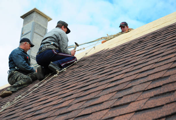 Best Best Roofing Contractors  in Houghton Lake, MI